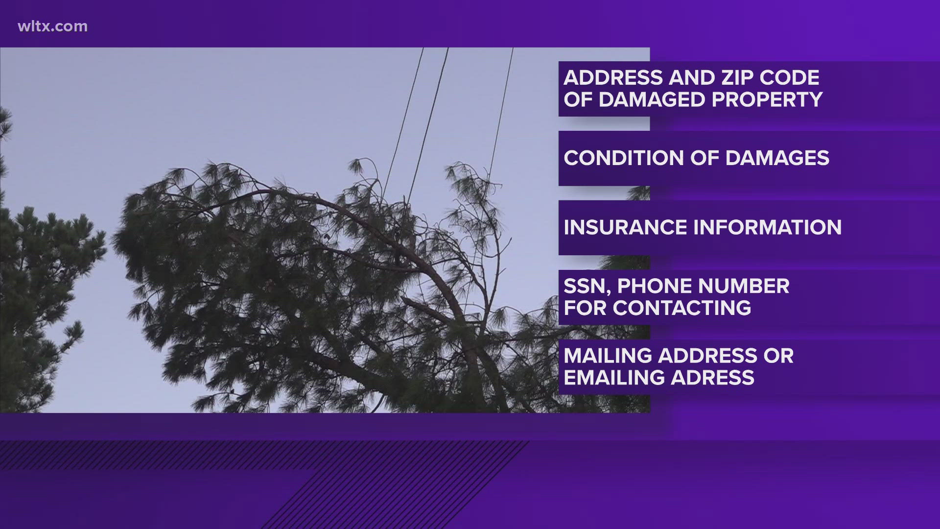 Over 60,000 survivors have utilized the FEMA centers in the state.