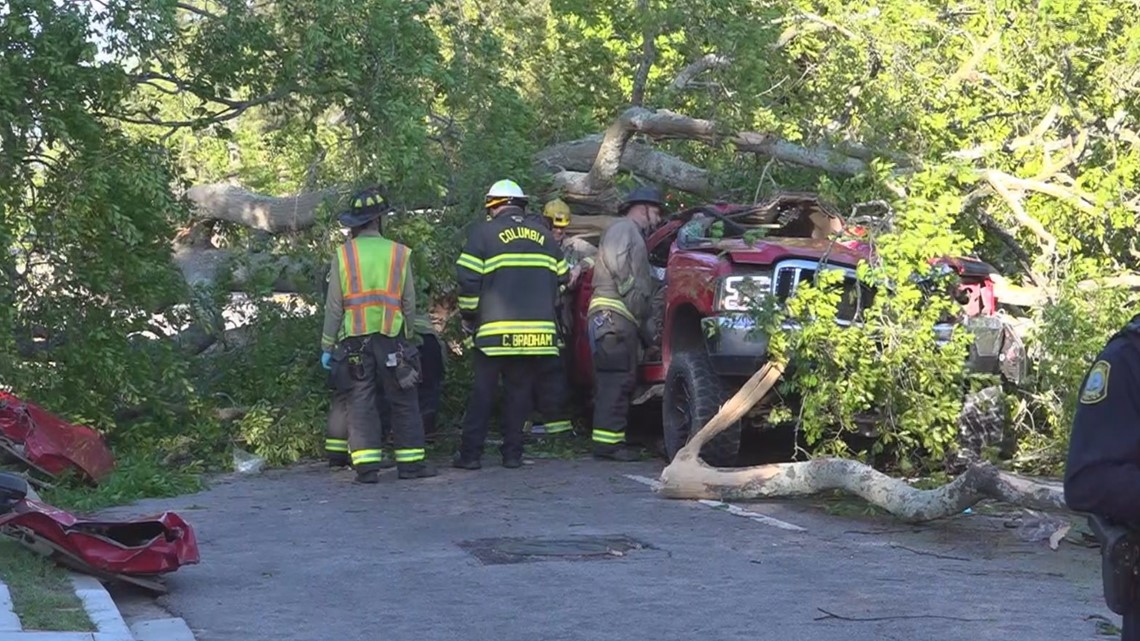 Tree falls on trucks on North Main Street blocking traffic | wltx.com