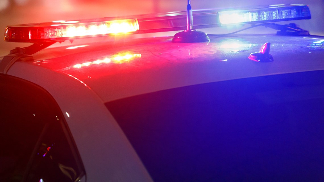 Lexington County deputy charged with misrepresenting hours - Vimarsana News