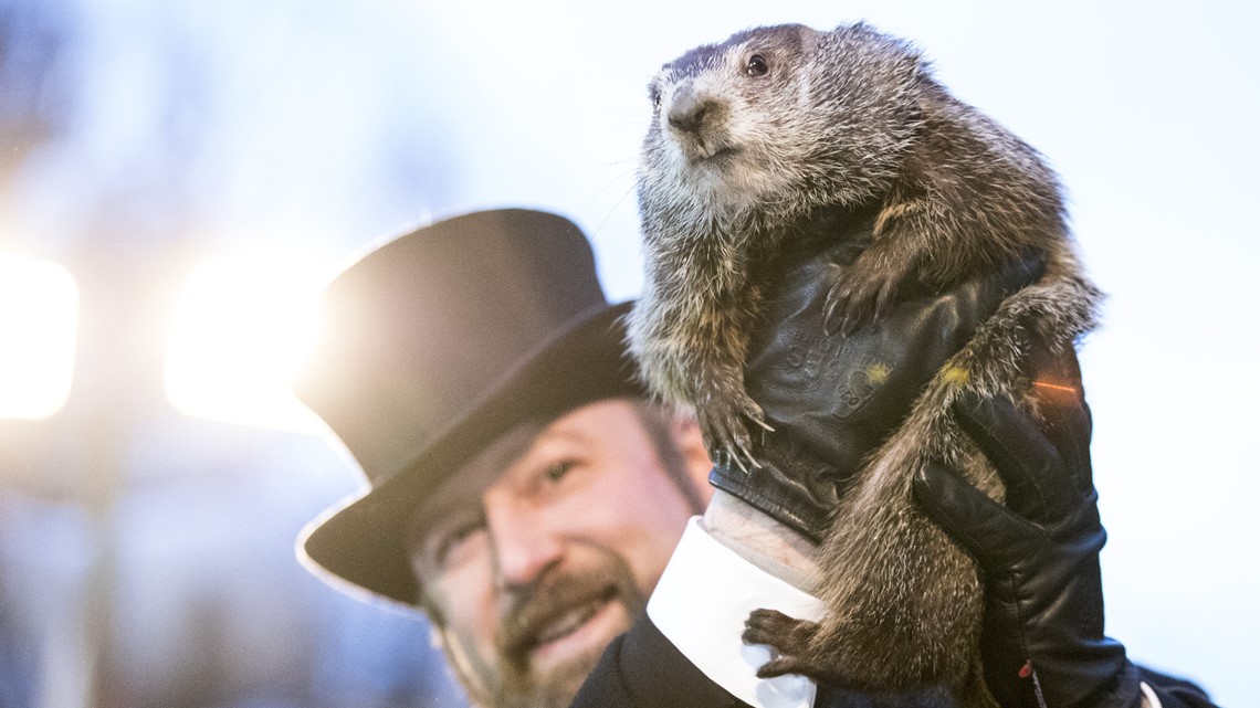 Groundhog Day 2021: Punxsutawney Phil sees his shadow, now six more