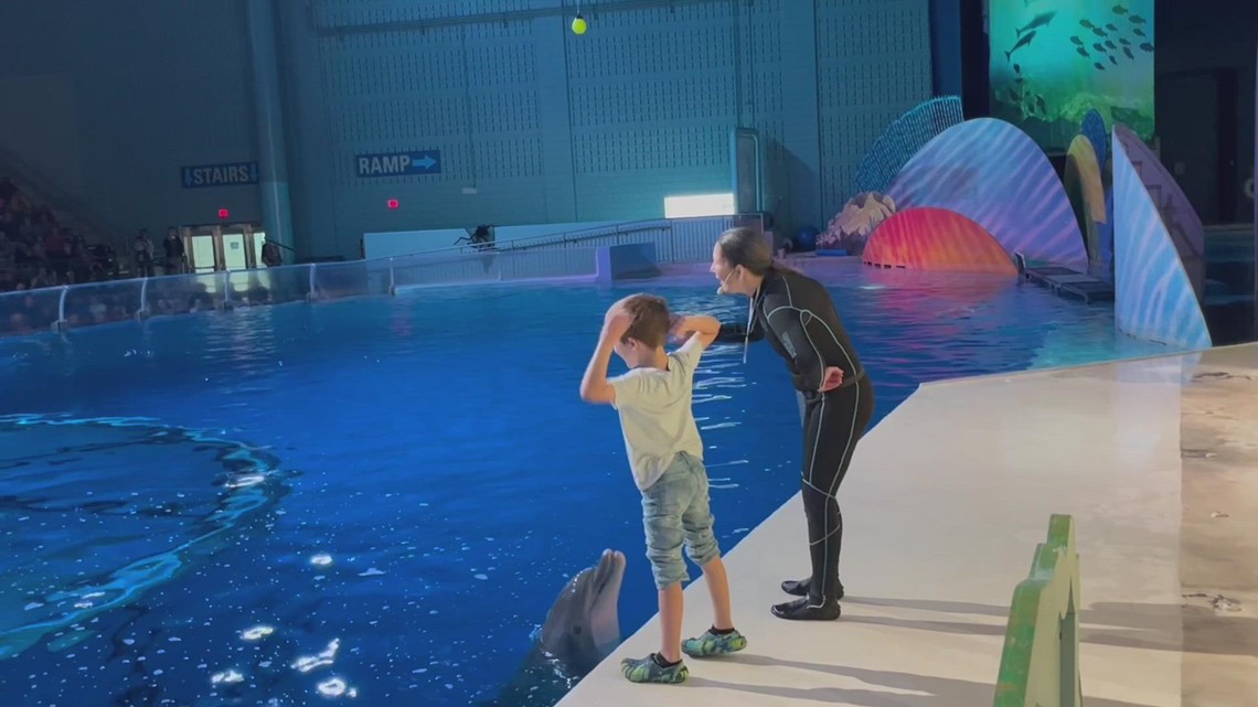 Navy father surprises 9-year-old son during Indy Zoo dolphin show