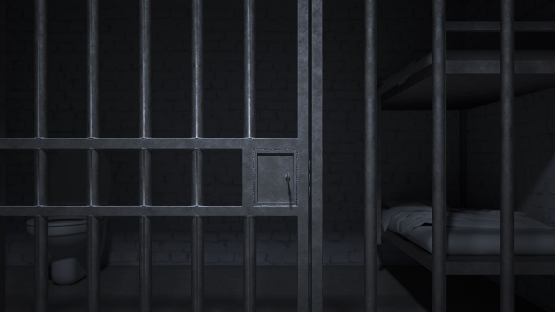 Coroner: 2 inmates found dead in SC jail overdosed on drugs | wltx.com