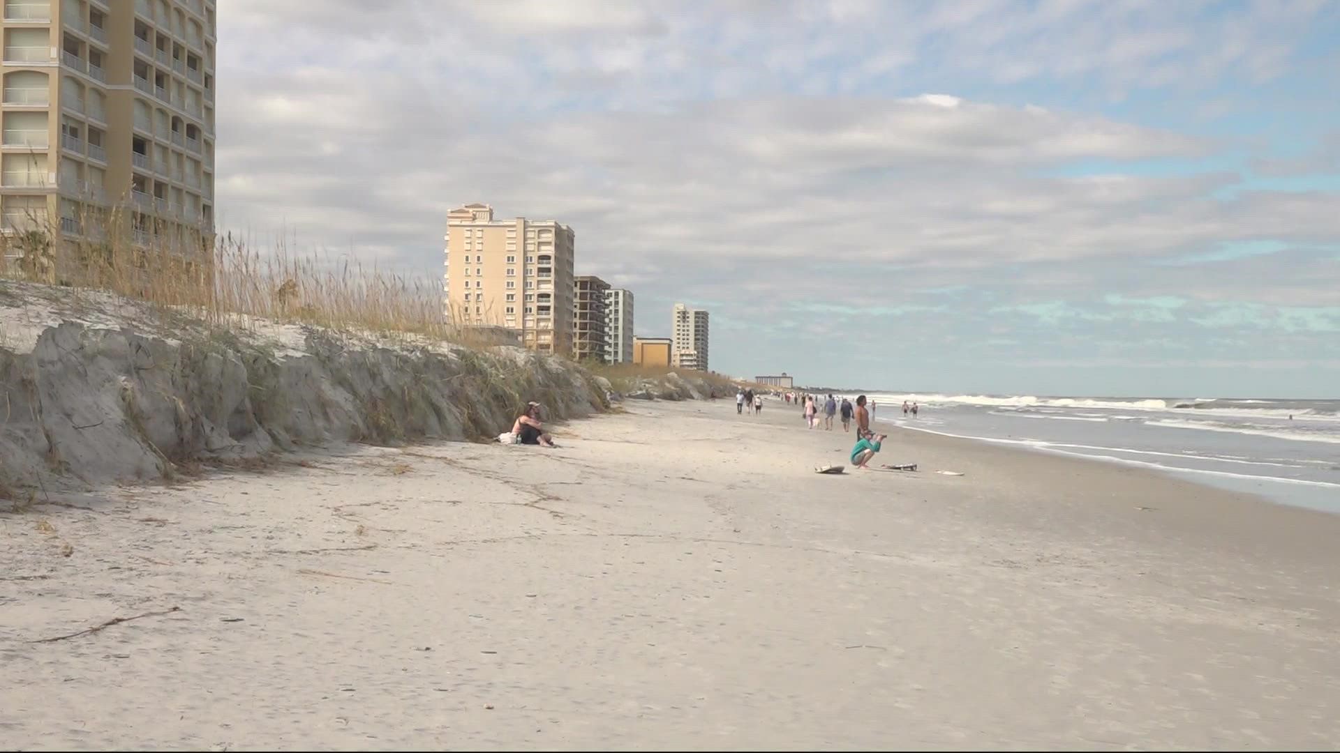 The dunes on average lost between 5-10 ft. following Hurricane Ian, according to a beach marine expert.