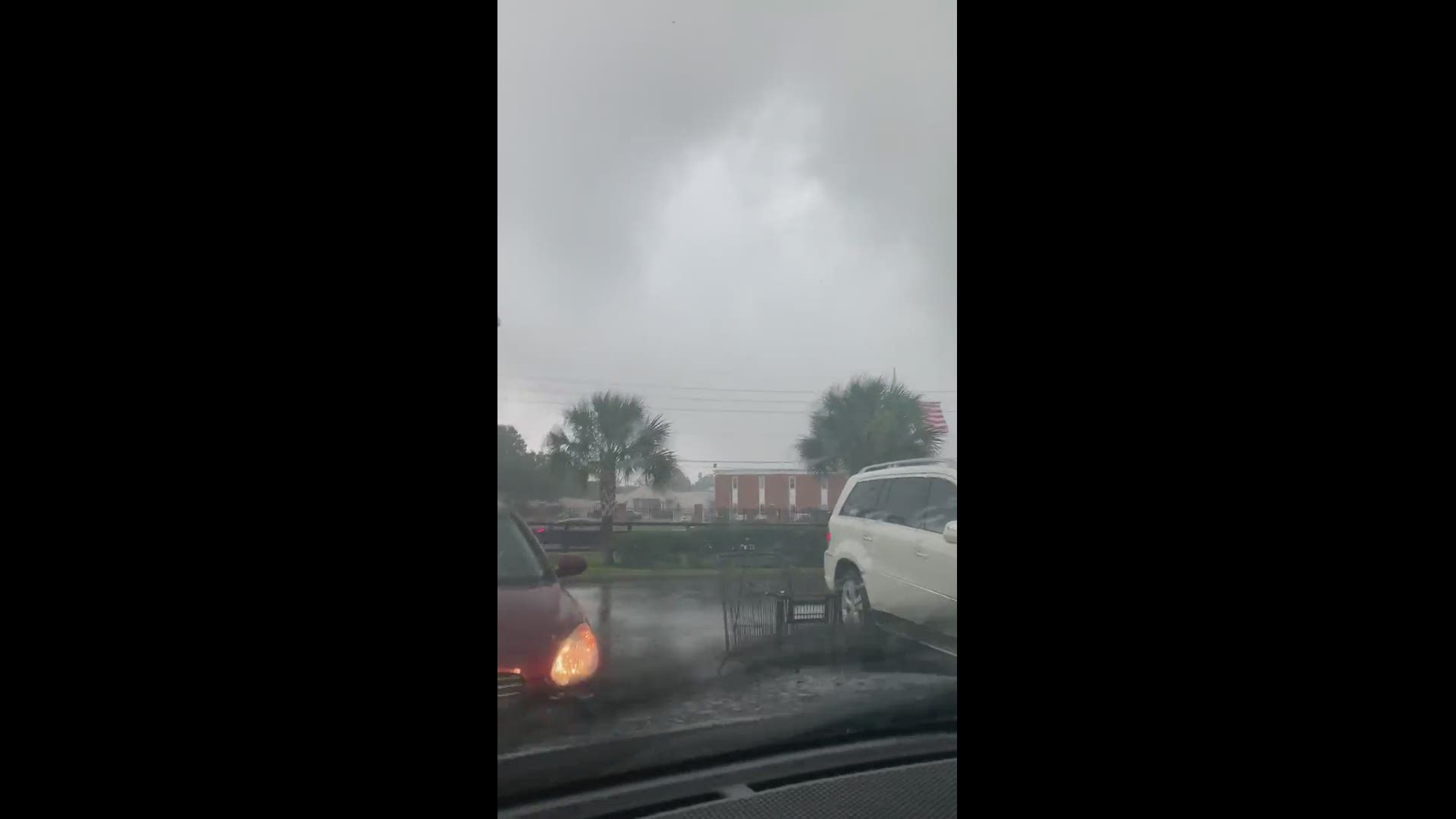 The video sent by a First Coast News viewer was taken at Fresh Field Farms.
Credit: Anastasia