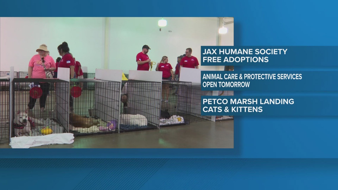 Nearly 500 pets adopted during ‘Mega Pet Adoptions’ in Florida
