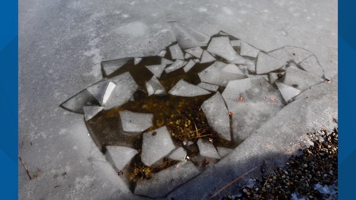 Four brothers rescue 81-year-old man from icy Monroe County pond | wltx.com
