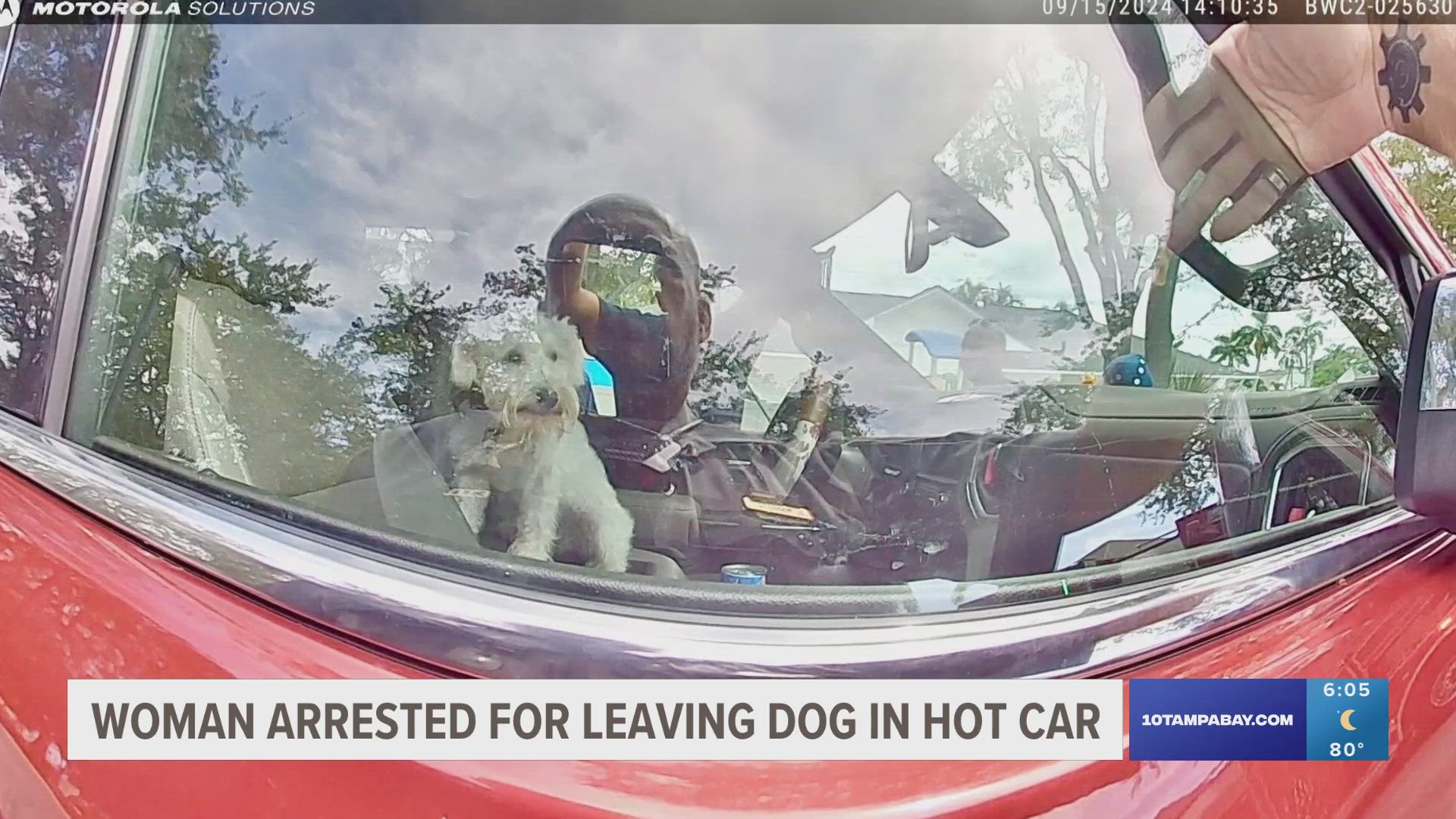 Ginobeba Obregon was at a shopping plaza, leaving her dog inside the hot truck, which was clocked at 110 degrees.