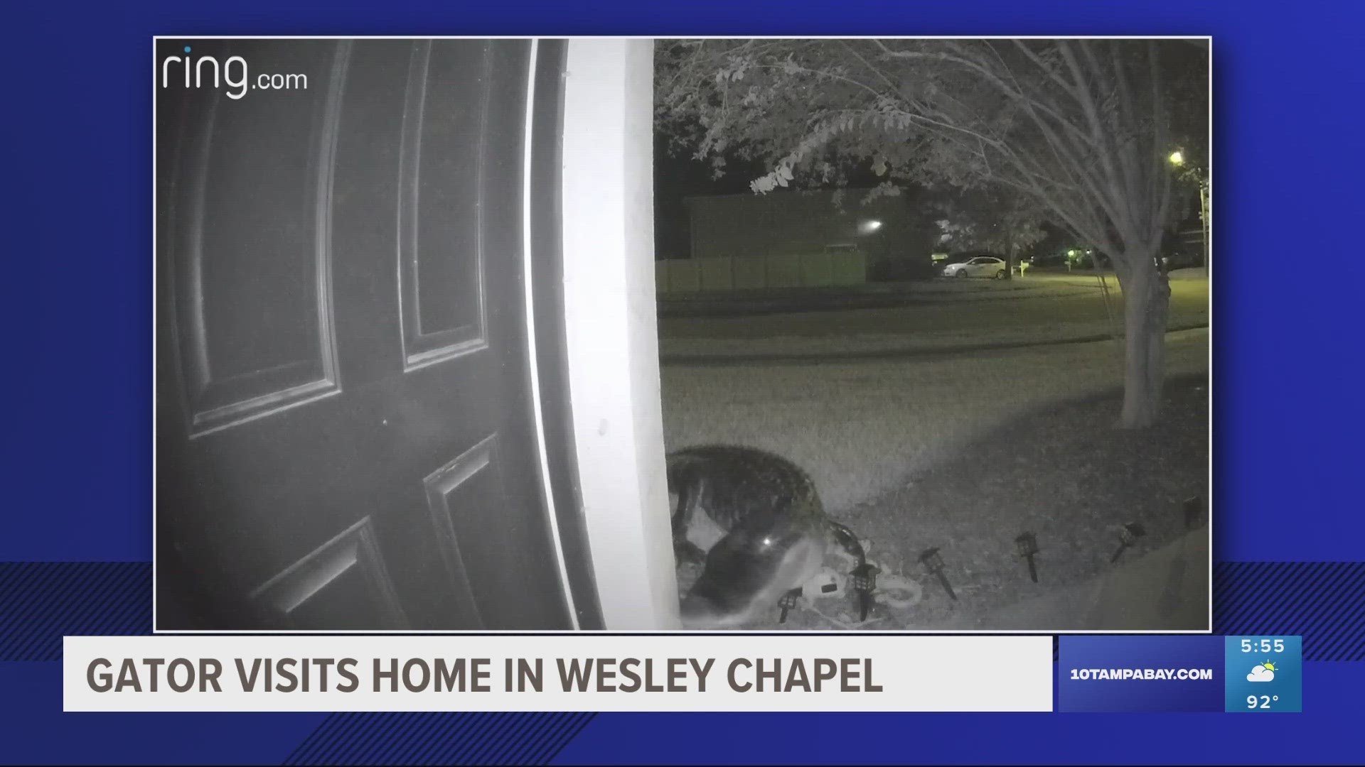 The neighborhood in Wesley Chapel reportedly has a lot of ponds, with one being directly behind the homeowner's house and across the street.