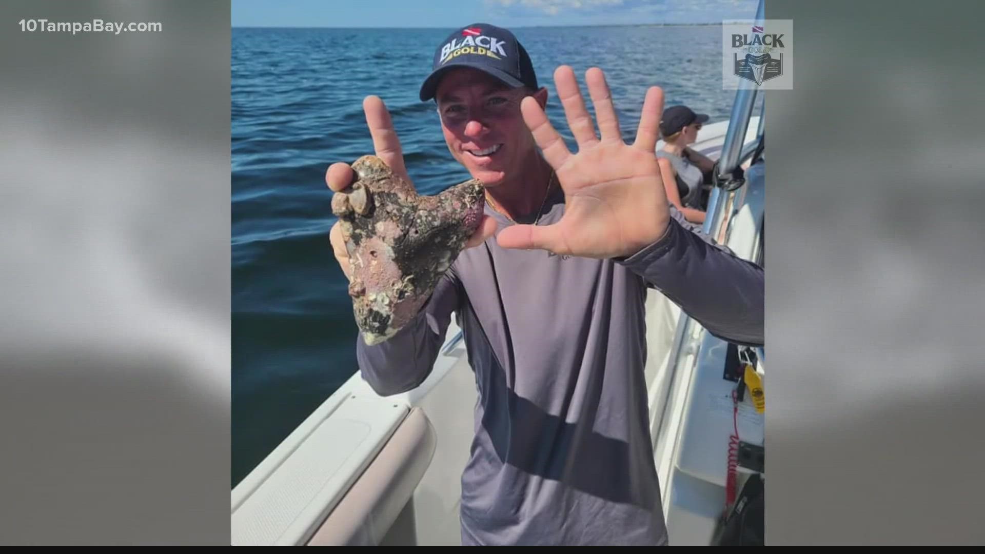 Experts call this a "holy grail" find. Charter Captain Michael Nastasio found this tooth while diving.