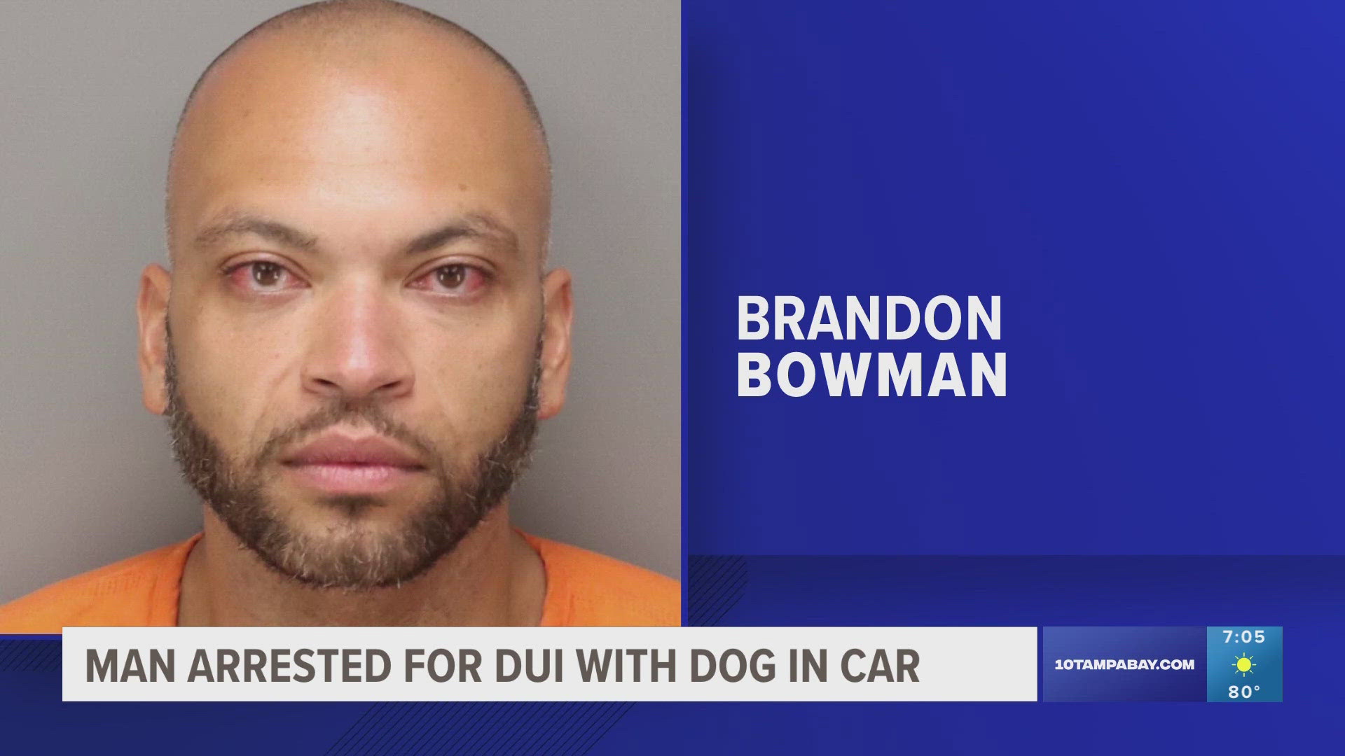 A New York man was arrested after he was driving drunk on the wrong side of the road with his dog.