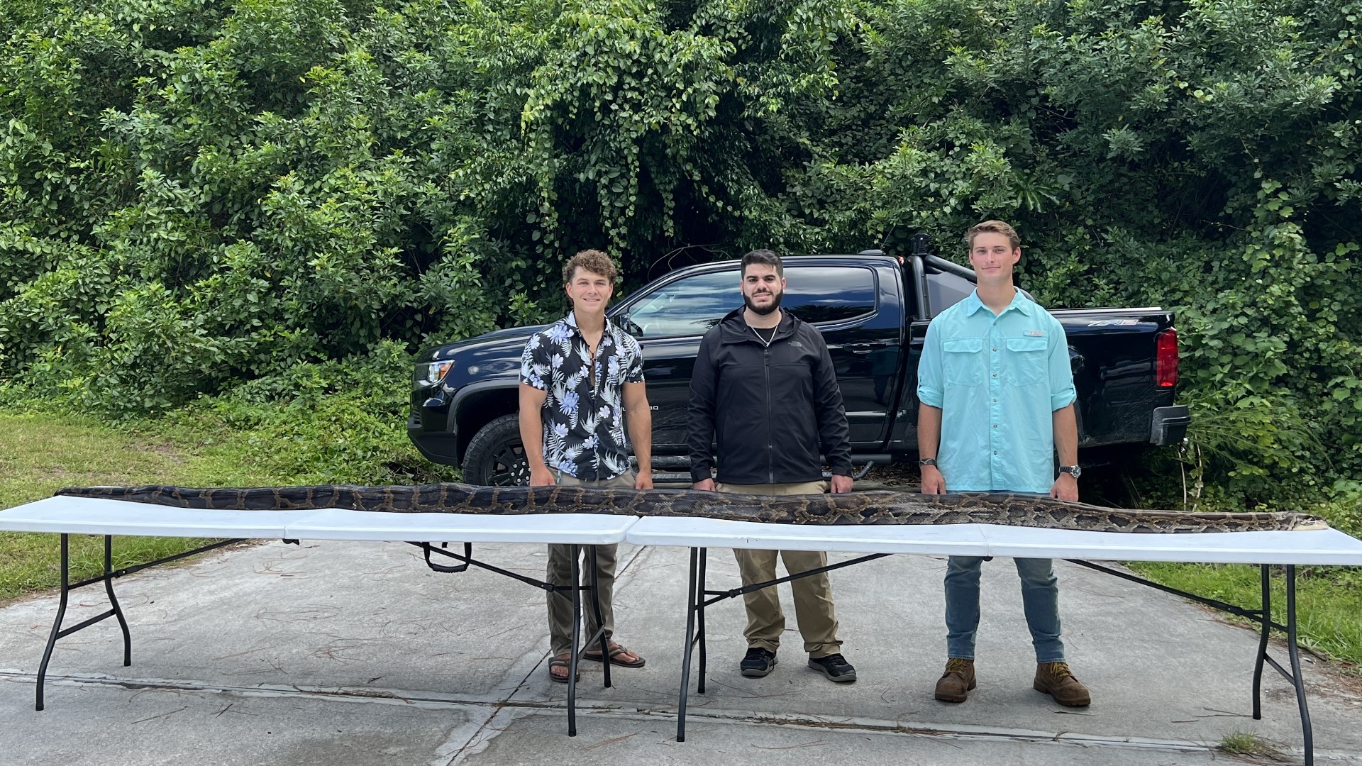 Florida hunters catch enormous 17-foot python | wltx.com