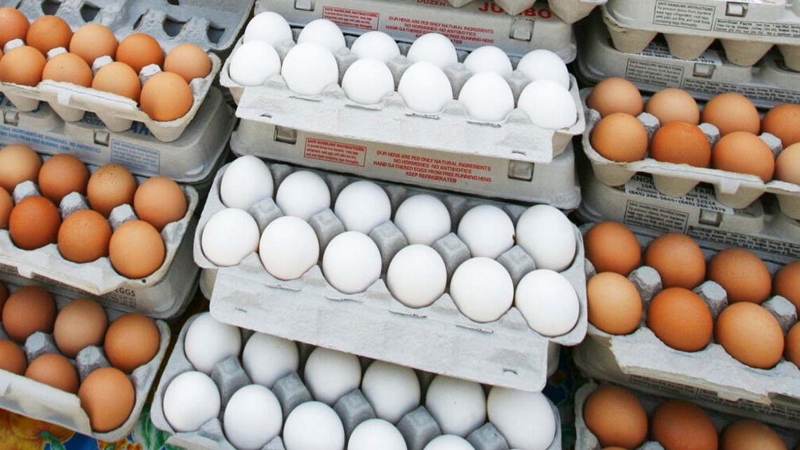 High Egg prices continue but what's causing it? - Vimarsana News