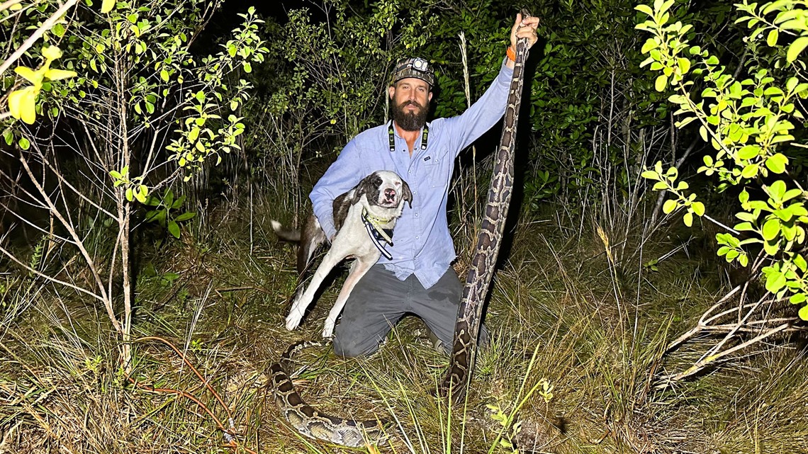 Bling dog finds blind python in Florida Everglades | wltx.com