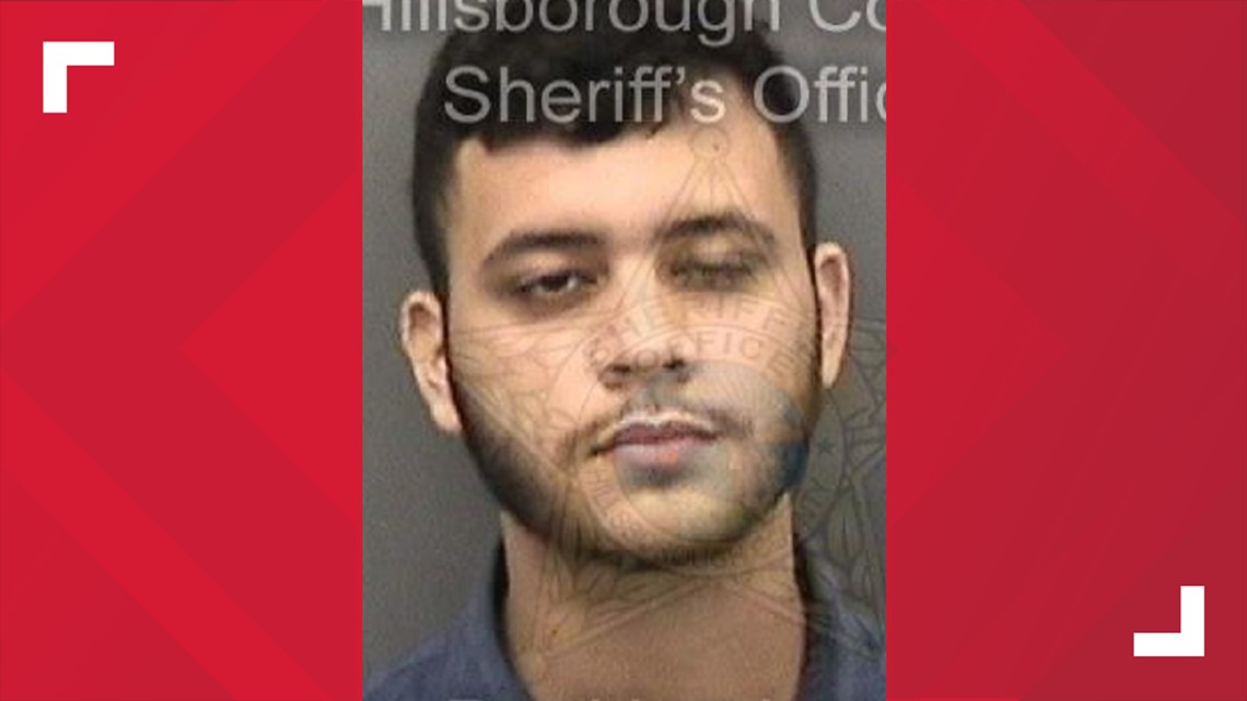19yearold Arrested For Child Porn Hillsborough County Sheriff Wltxcom
