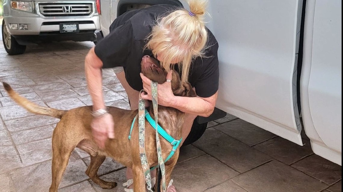 Florida animal shelter helps reunite lost dog with owner