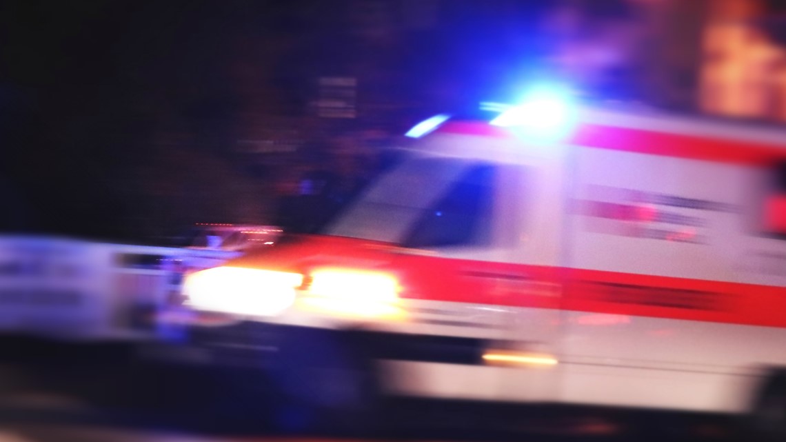Kyleen Waltman attacked by dogs in Honea Path, South Carolina - Vimarsana News