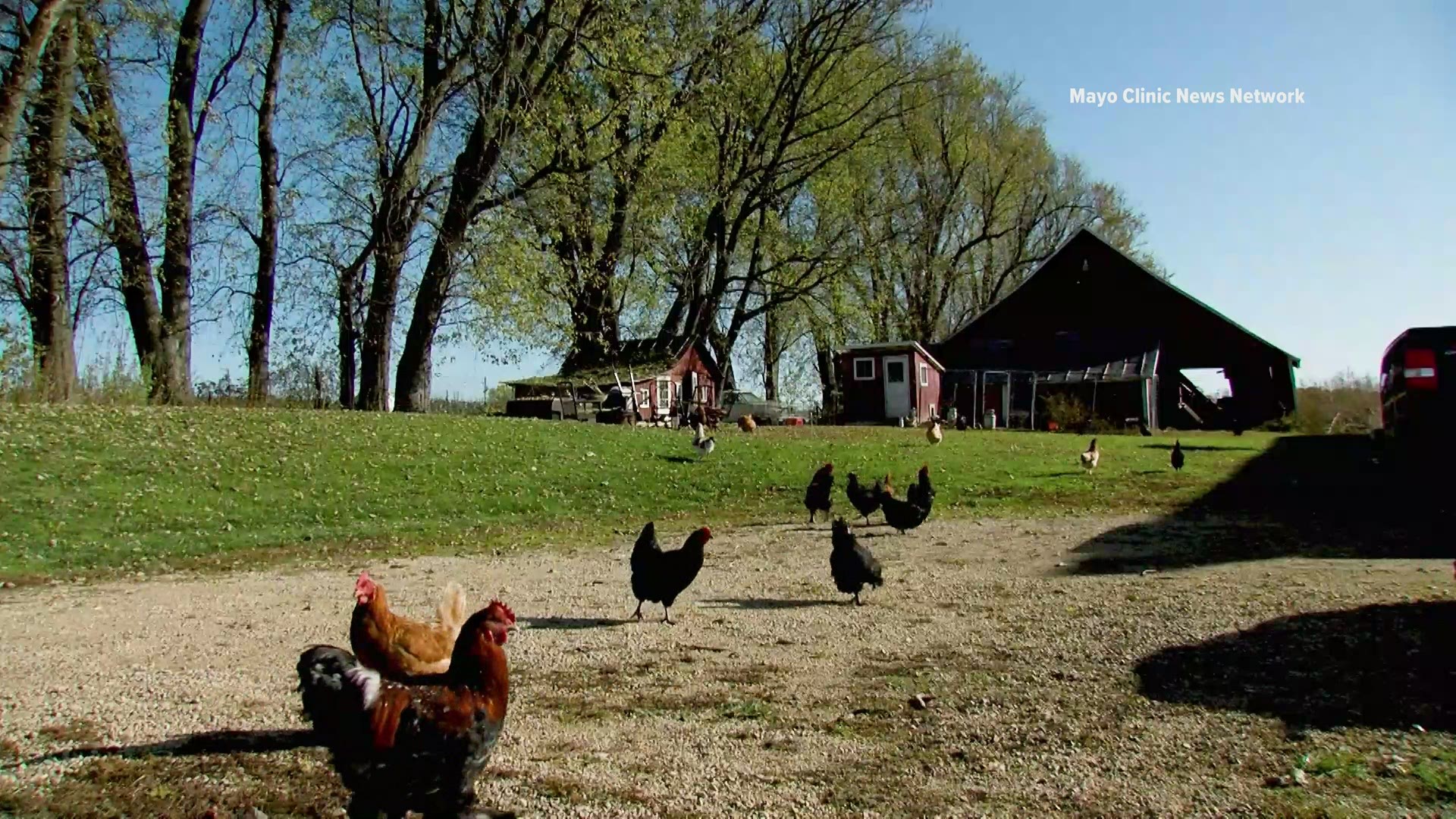 Maryland is a hotspot for research and production of superbug-killing bacteriophages.