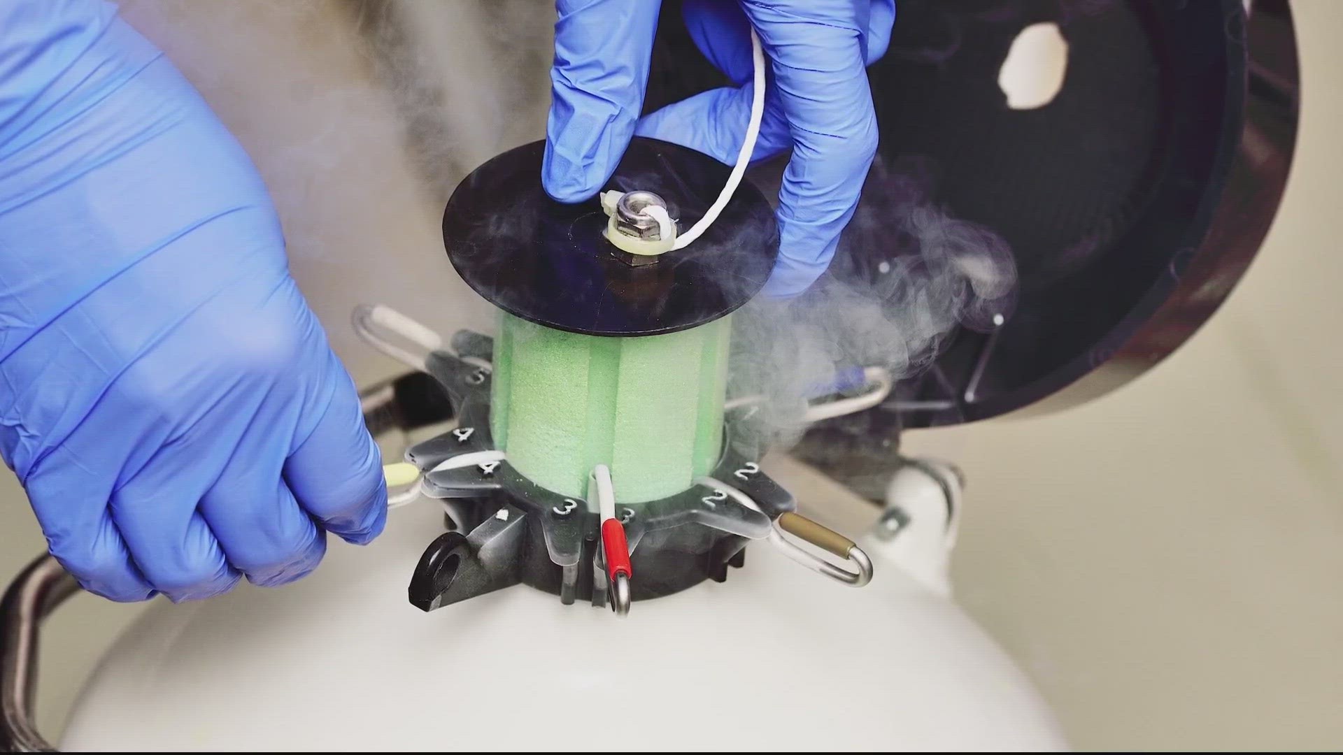 Court to decide who gets a frozen preembryo in a divorce