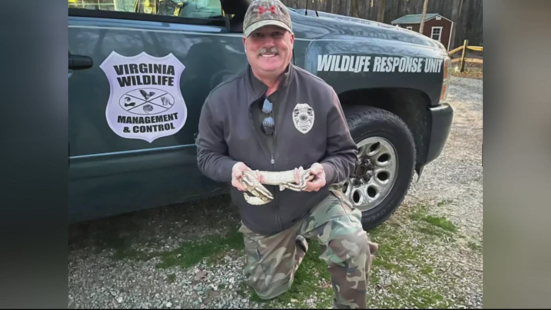 Elderly penguins receive custom lenses in "worldfirst" cataract