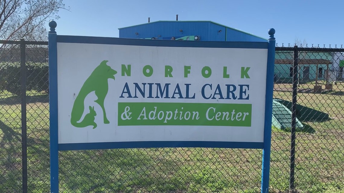 Shelter Spotlight Norfolk Animal Care and Adoption Center