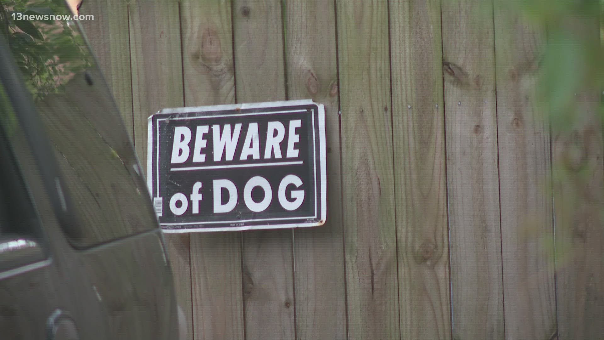Woman dies after being mauled by 3 pit bulls in Portsmouth | wltx.com