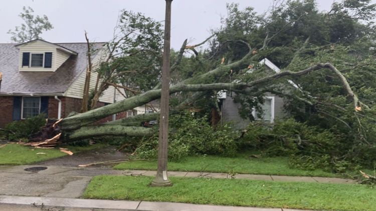 Photos and videos: Hurricane Ida's vast damage apparent in daylight