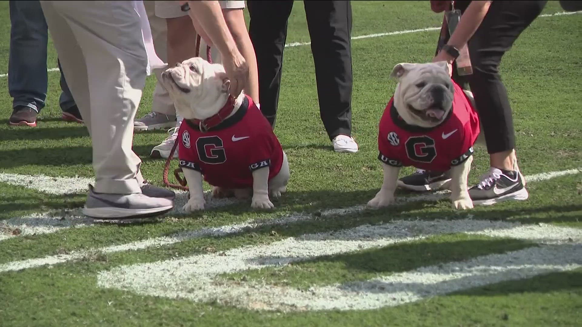 UGA introduces new mascot Boom and retires beloved Que