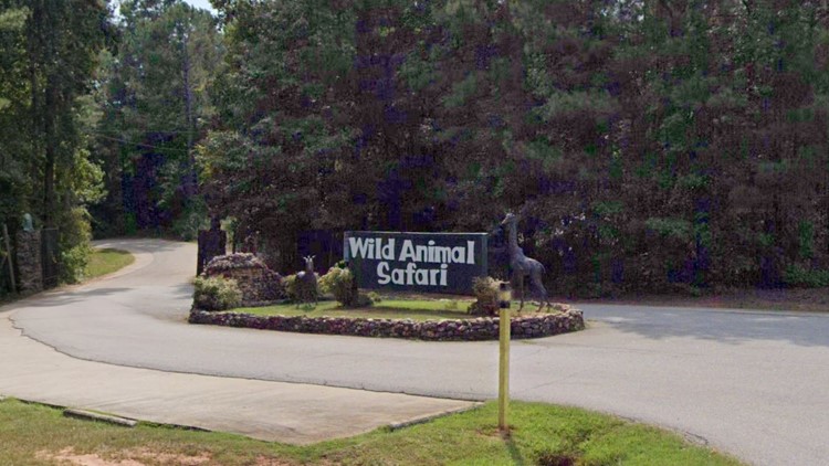 2 tigers captured after escaping west Georgia zoo during tornado, officials say