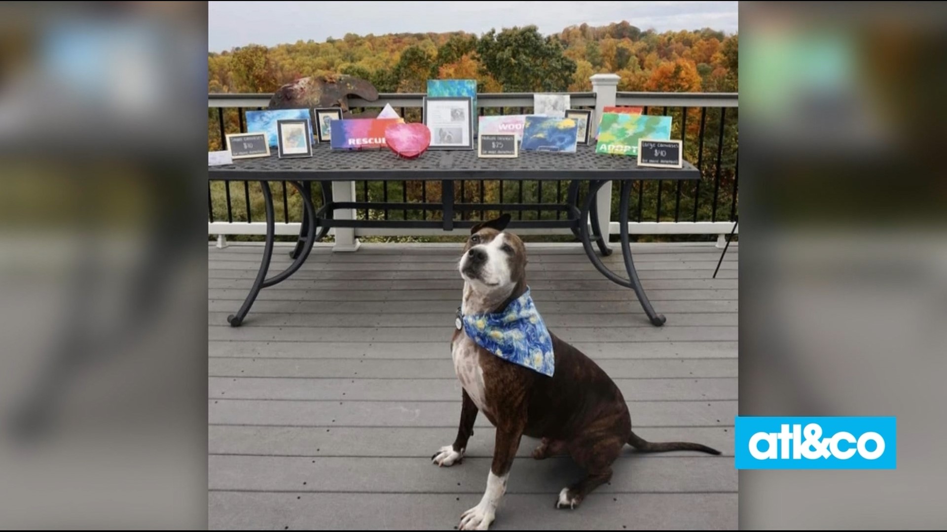 A former bait dog in a dogfighting ring "paints" artwork for charity and is now living his best life up north.