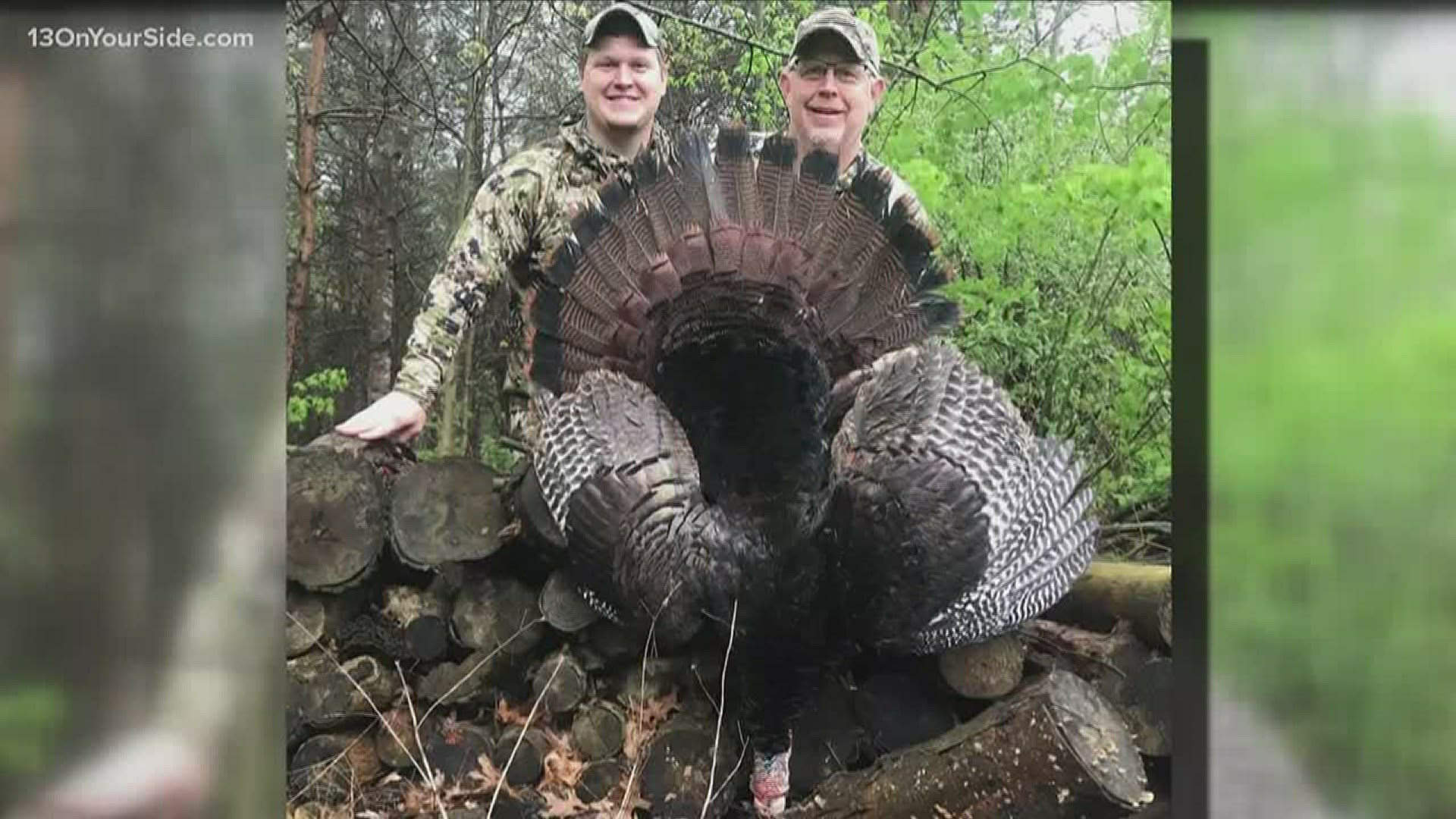 Turkey takeover DNR gives tips on how to deter turkeys from the